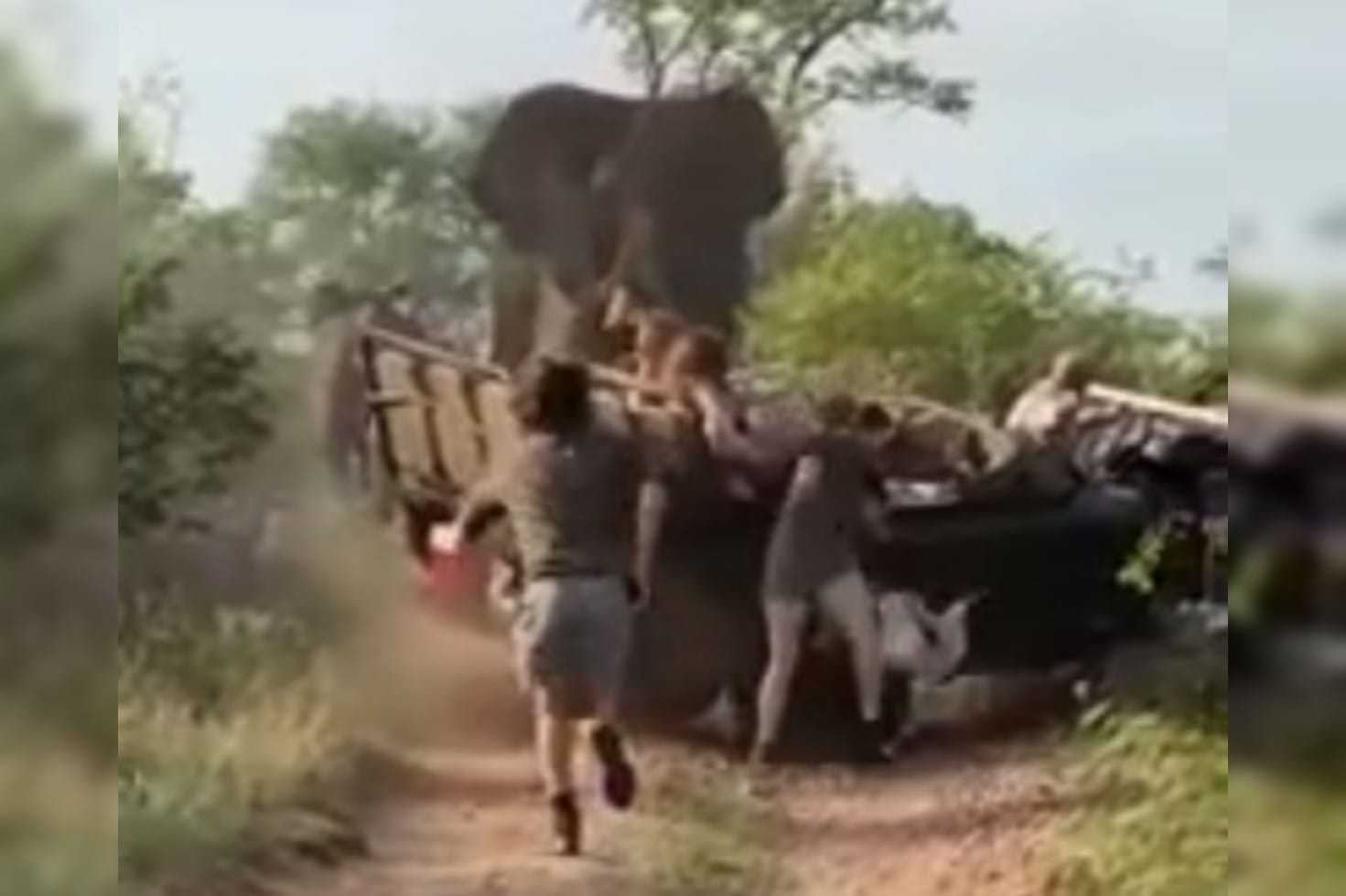 Нападения на туристов. Слоны нападают на людей. Слоны нападают на машины. Опасные сафари слон разгромил джип.